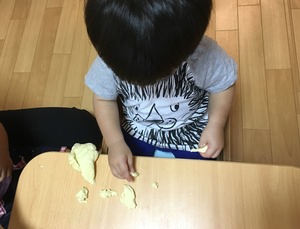 image1.JPG