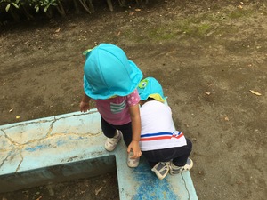 image2.JPG