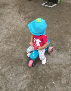 image1.JPG