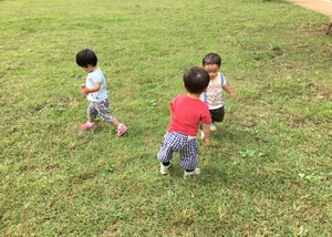 image1.JPG