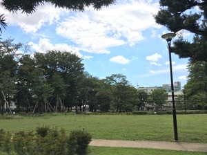 image6.JPG