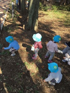 image1.JPG