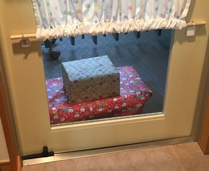 image5.JPG