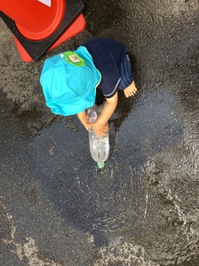 image5.JPG