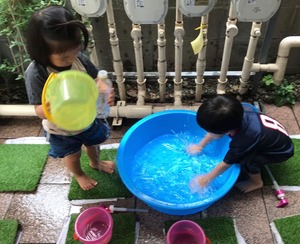 image5.jpeg