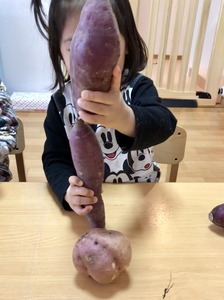 image1.jpeg